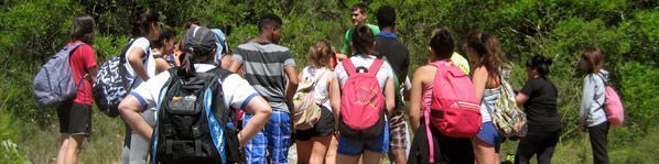 Imagen de la noticia Intercambio juvenil en Estella