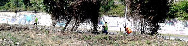 Imagen de la noticia Un verano de activación juvenil